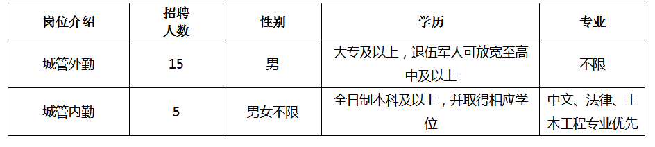 具備崗位簡介表所要求的其他條件。